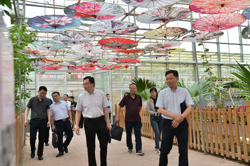 實(shí)地考察創(chuàng)新示范基地